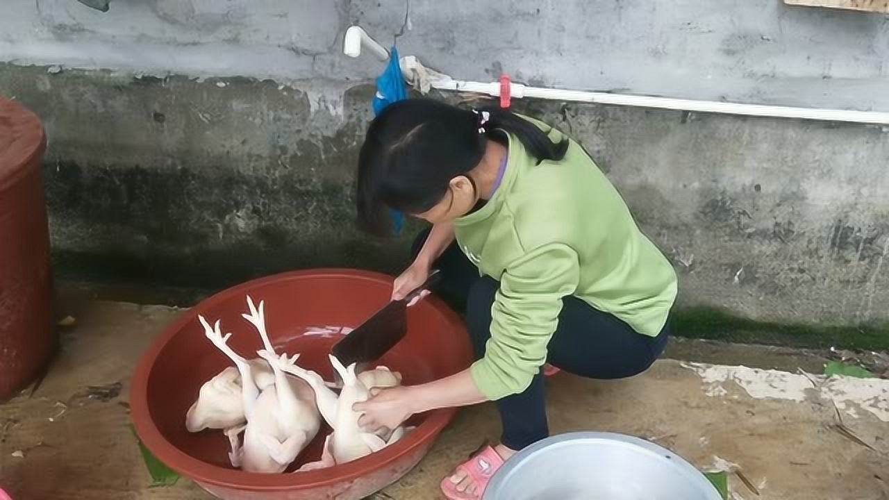 關于阿梅殺雞視頻的理性分析與網(wǎng)絡倫理道德探討，警惕涉黃內(nèi)容侵蝕社會倫理底線。