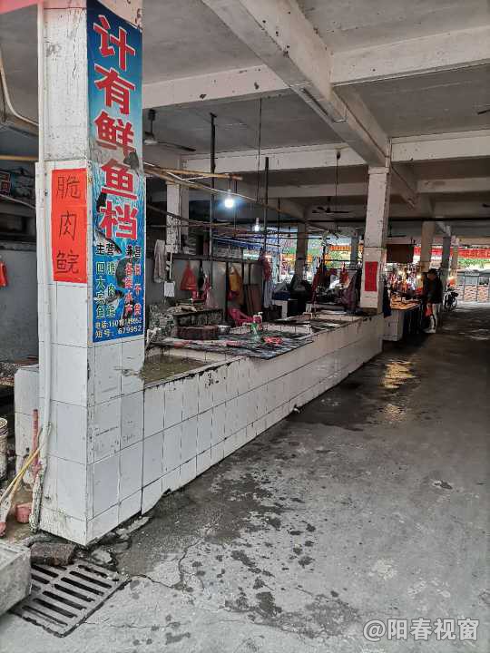 最新魚檔轉(zhuǎn)讓，把握商機，輕松開啟水產(chǎn)養(yǎng)殖事業(yè)之路