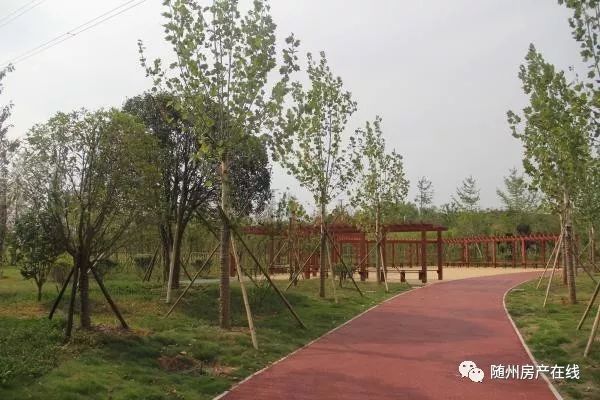 隨州桃園公園最新動態(tài)揭秘，驚喜連連，不容錯過！