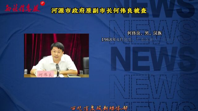 何偉良最新任免揭曉，日常故事中的溫馨轉(zhuǎn)折