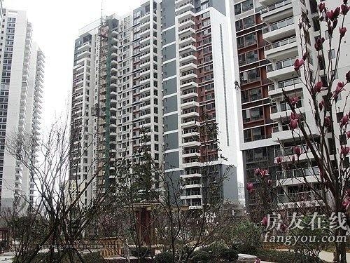 綠地長(zhǎng)島公寓最新價(jià)格揭秘，小巷深處的隱藏寶藏