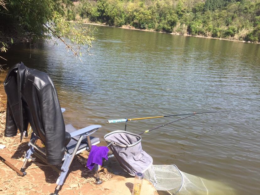 山門寺水庫釣魚最新指南，垂釣攻略與技巧分享