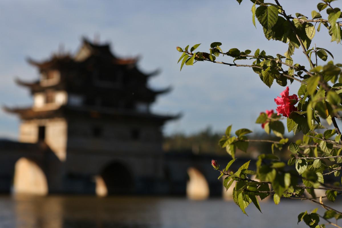 大冰最新力作，智能生活新紀元——科技與生活的完美融合