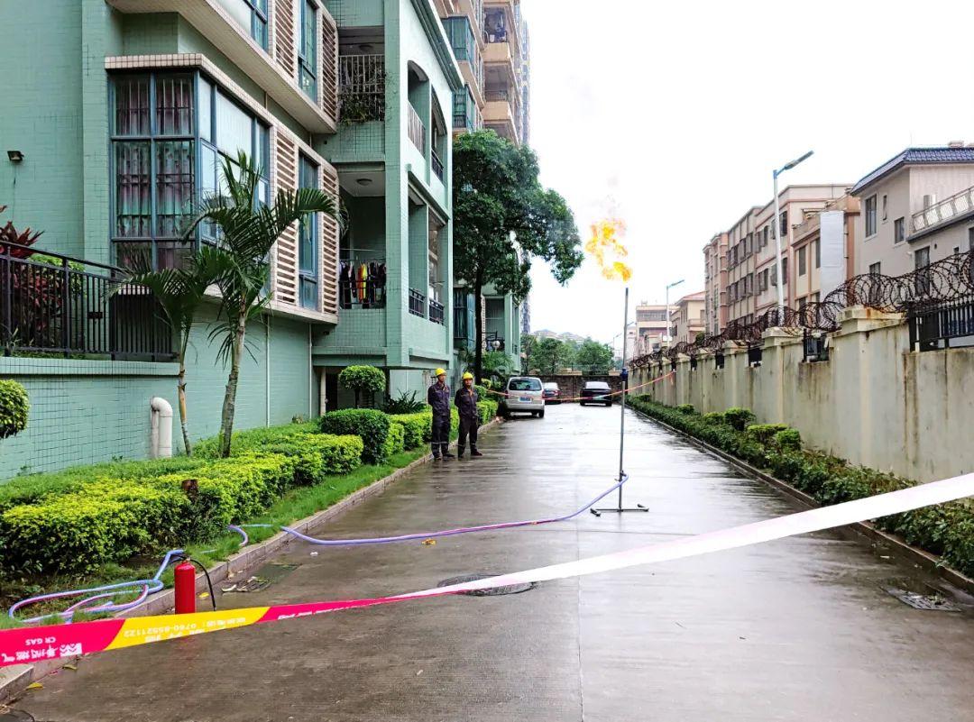 中山東鳳佛奧最新動態(tài)，自然美景的探索之旅，尋找內(nèi)心平和與寧靜