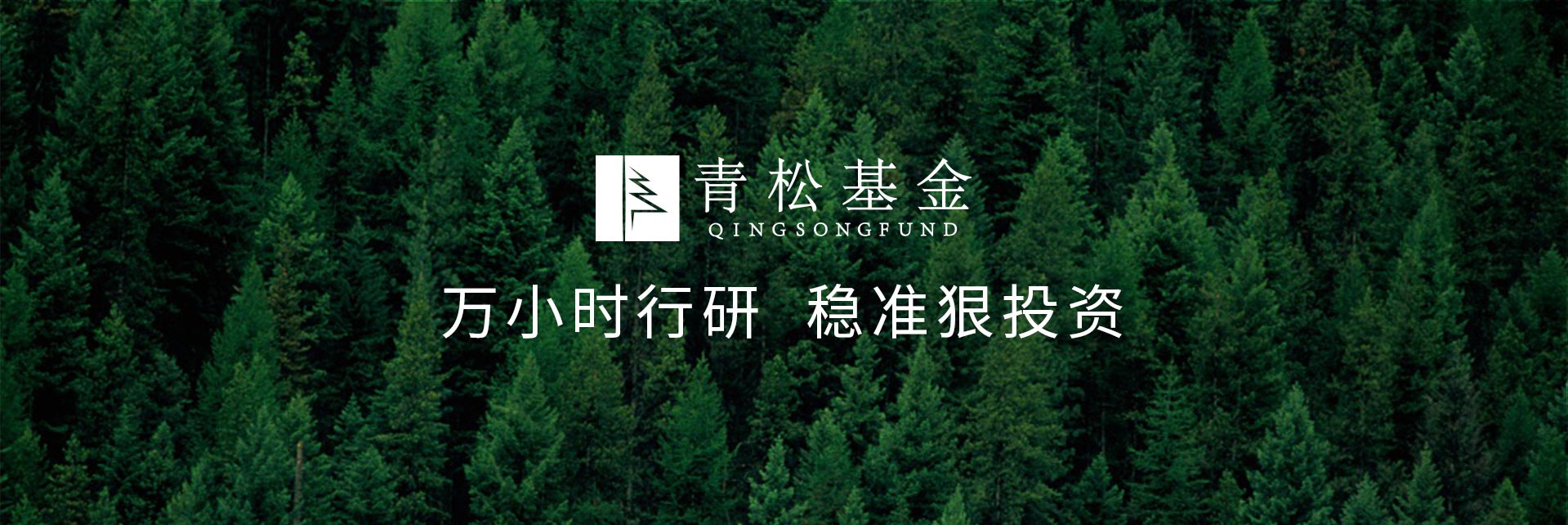 長青樹眾籌最新動(dòng)態(tài)，背景、發(fā)展與時(shí)代地位探索