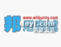 葫蘆島最新營(yíng)業(yè)員招聘動(dòng)態(tài)，背景分析與影響探討