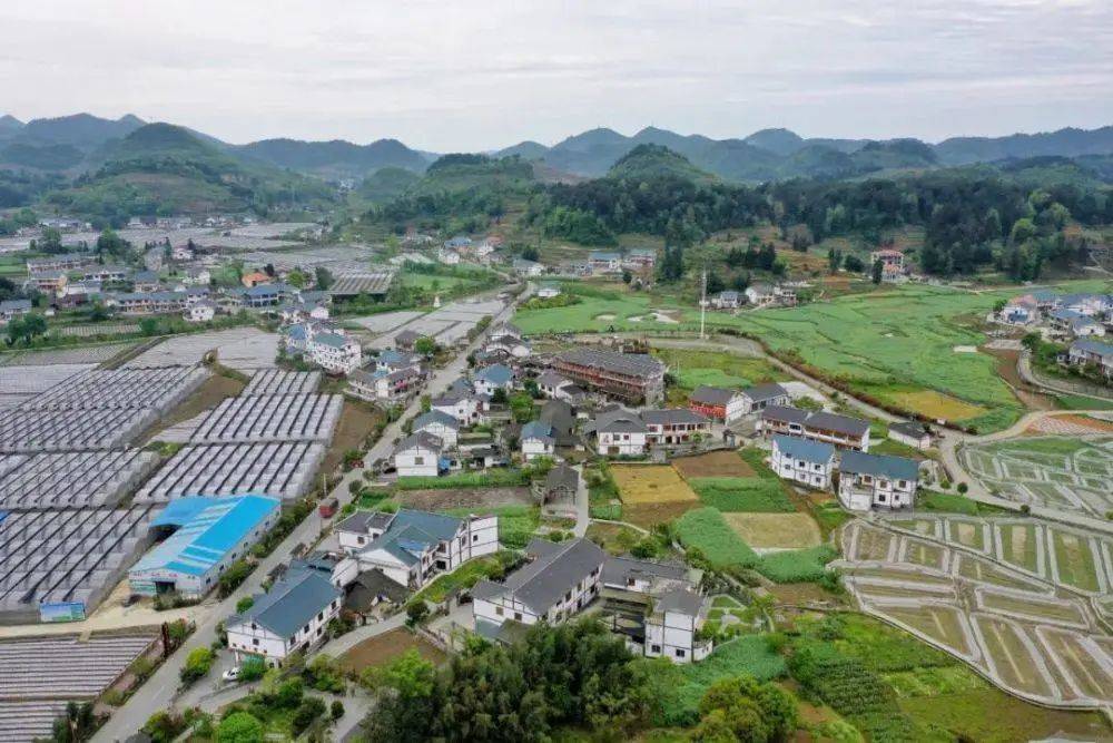 遵義市喇叭鎮(zhèn)最新動態(tài)更新，最新消息匯總