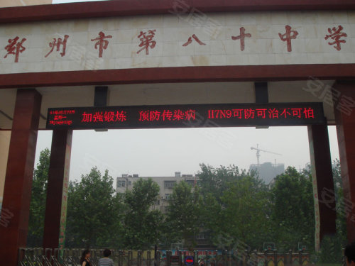 中原區(qū)九龍城最新動(dòng)態(tài)深度解析，最新進(jìn)展與觀點(diǎn)闡述