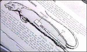 美國填尸最新進(jìn)展，高科技重塑生活，未來科技魅力體驗(yàn)