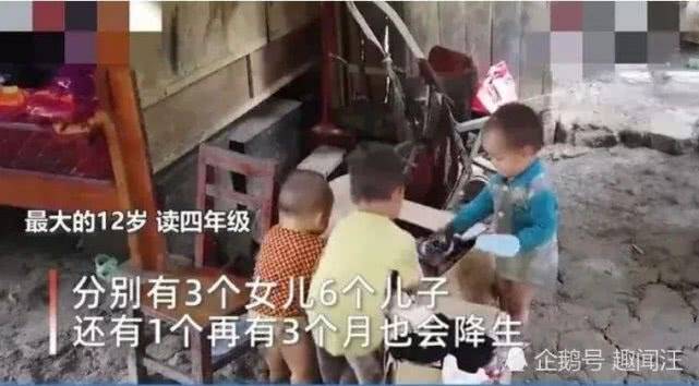 燈飾燈具 第230頁