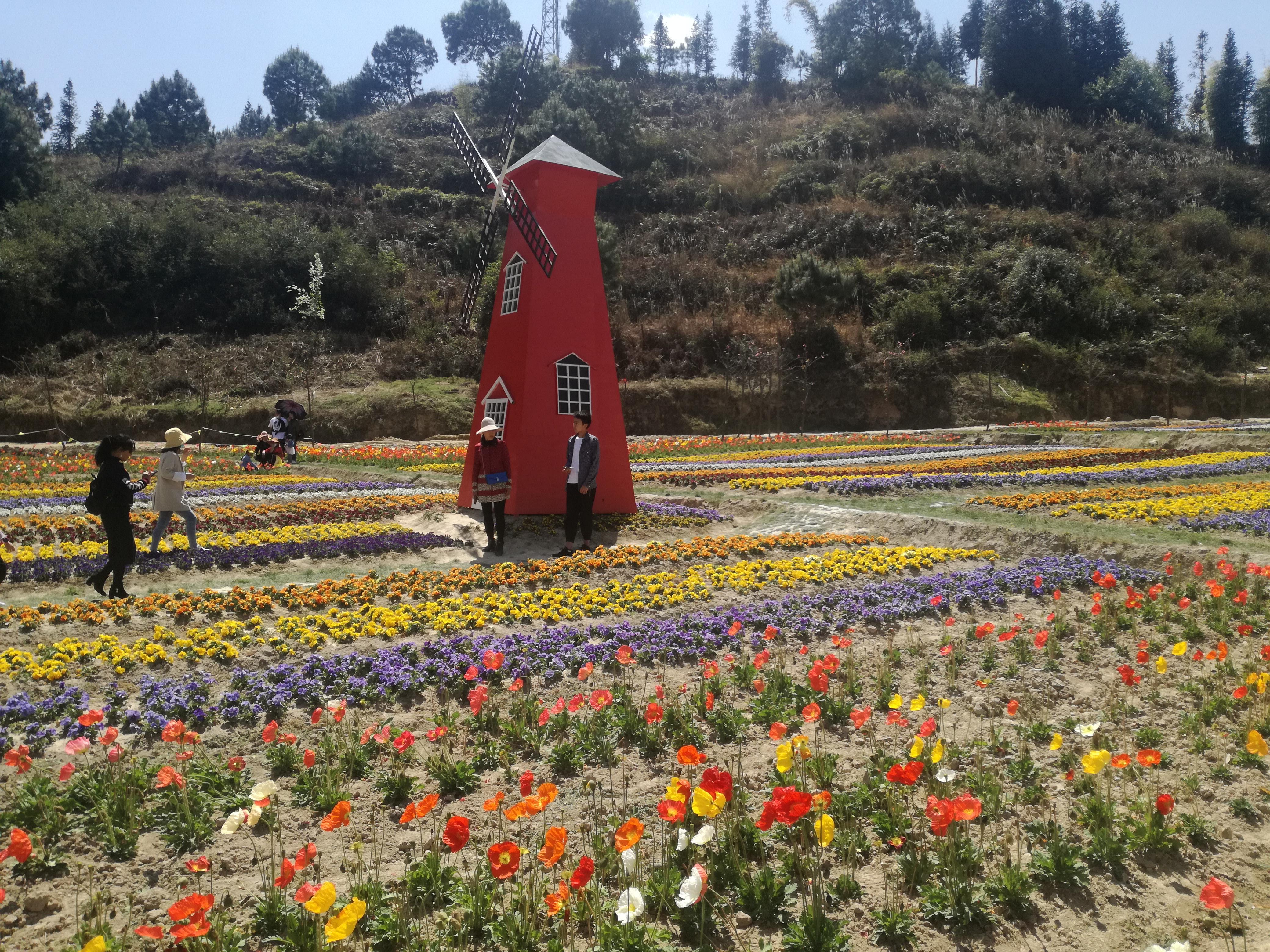 臨滄市最新探索，自然美景之旅，尋找內(nèi)心平和的旅程