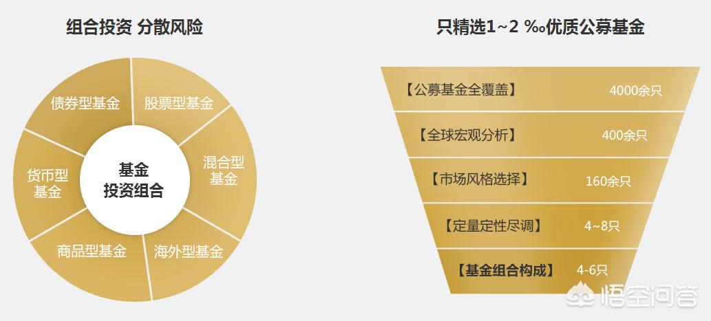 深度解析，今年養(yǎng)雞產(chǎn)業(yè)趨勢(shì)與前景展望