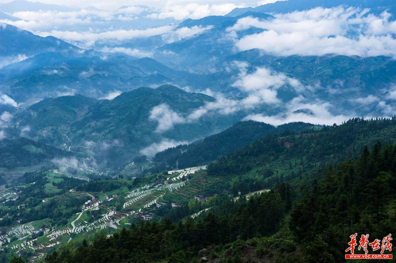 雪峰山資訊，一段溫馨有趣的探索之旅