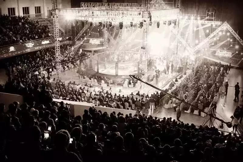 武林籠中對最新一期，自然美景中的對決與內(nèi)心平靜之旅