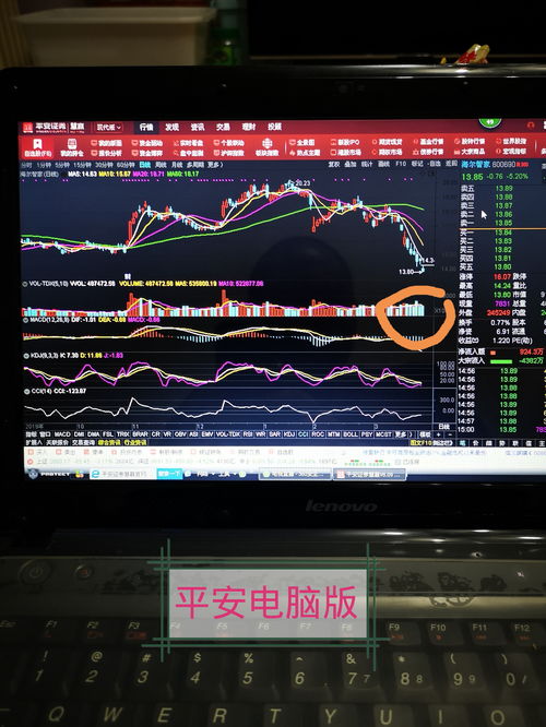 股票電腦版，開啟溫馨的股市之旅
