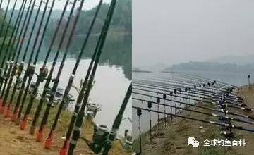 海竿釣魚比賽，技巧、魅力與激情的海洋探秘之旅