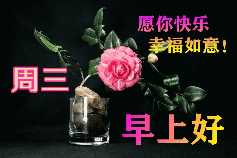 最新早晨問候動態(tài)表情包，溫馨問候，從表情開始！