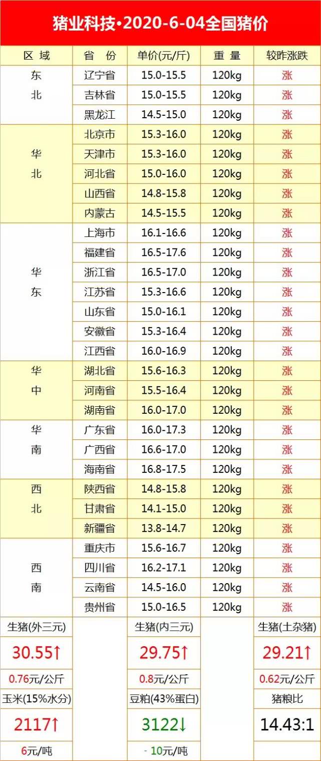 全國(guó)最新生豬價(jià)格今日豬價(jià)走勢(shì)，詳細(xì)步驟指南