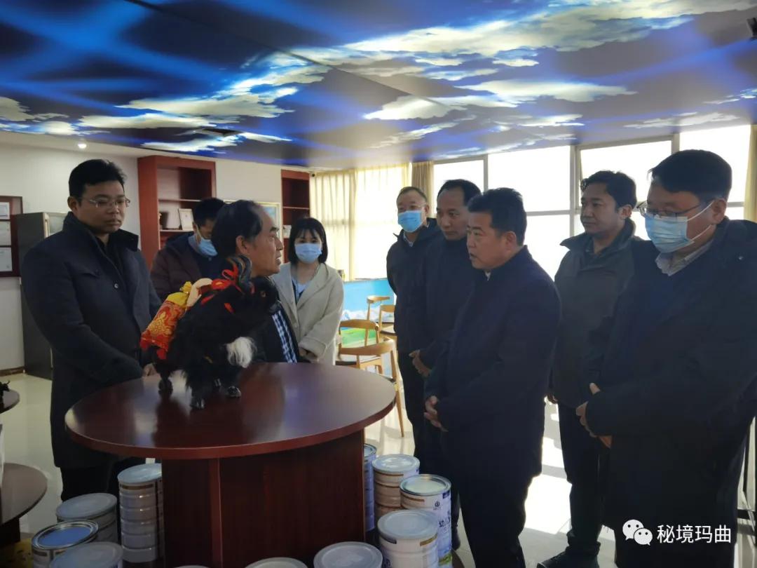 高原之寶上市，學(xué)習(xí)、蛻變與自信的輝煌之旅