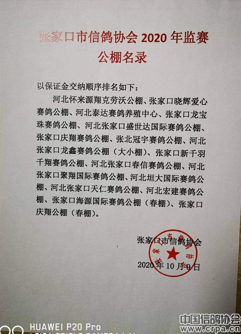 東光信鴿協(xié)會(huì)最新通告，小巷深處的獨(dú)特風(fēng)味揭秘與信鴿活動(dòng)更新通知