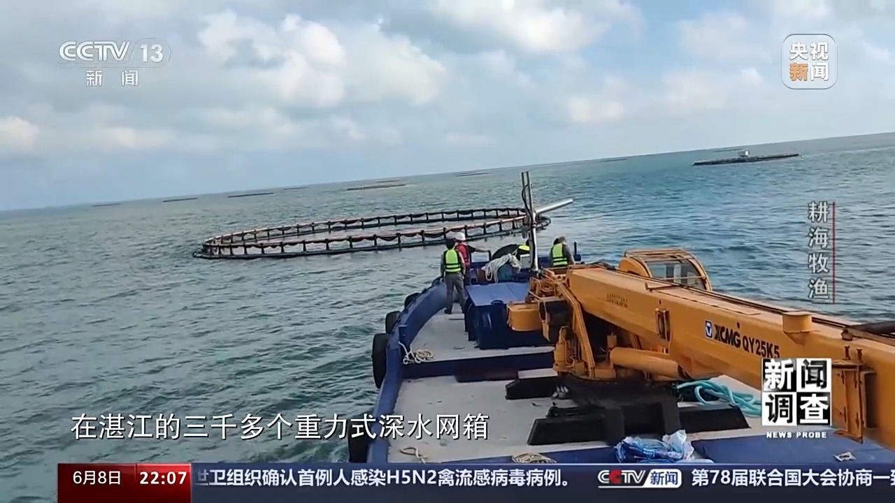 最新海水養(yǎng)殖,最新海水養(yǎng)殖，一種前沿農(nóng)業(yè)技術(shù)的觀點(diǎn)分析