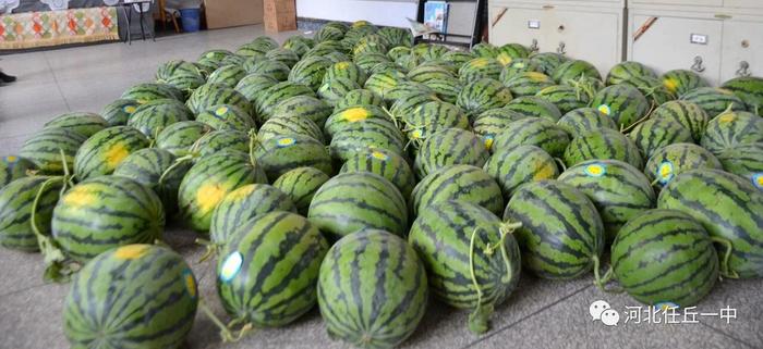 燈飾燈具 第178頁