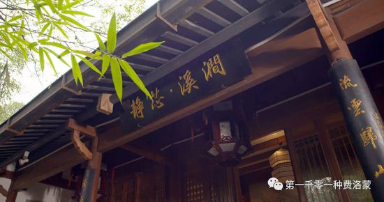 高密西湖茶樓最新資訊，一壺茶，品味溫情時光