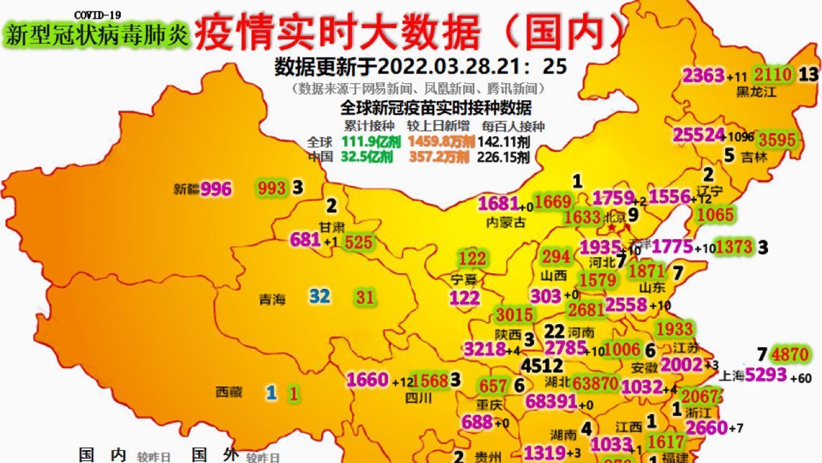 最新疫情動(dòng)態(tài)詳解，初學(xué)者與進(jìn)階用戶的步驟指南