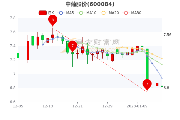 中葡股份股票行情深度分析與展望，未來走勢展望及行業(yè)前景預(yù)測。