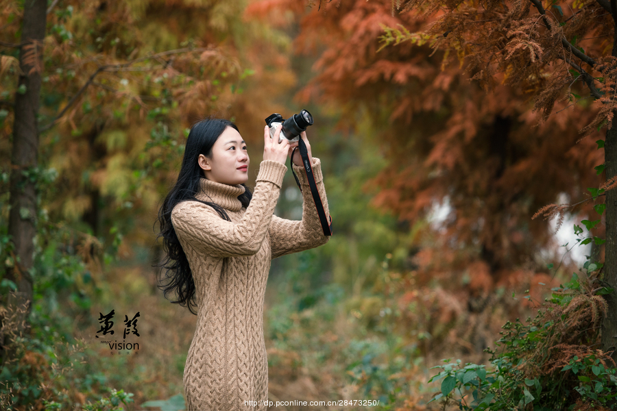 伊人在線電影，探索現(xiàn)代網(wǎng)絡(luò)影視的新境界