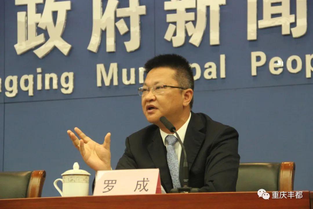 豐都新聞快訊，日常溫情與陪伴的瞬間