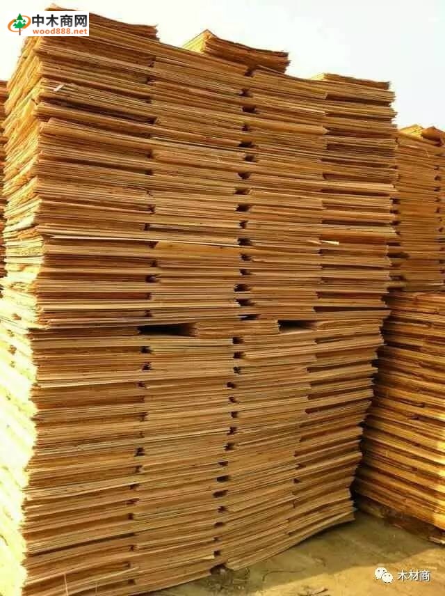 科技革新引領板皮廠行情，開啟板材加工新時代