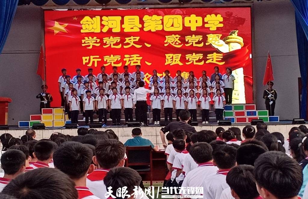 青蛙與狗的泳池挑戰(zhàn)，揭秘游泳比賽背后的故事，青蛙夢工廠的秘密探索