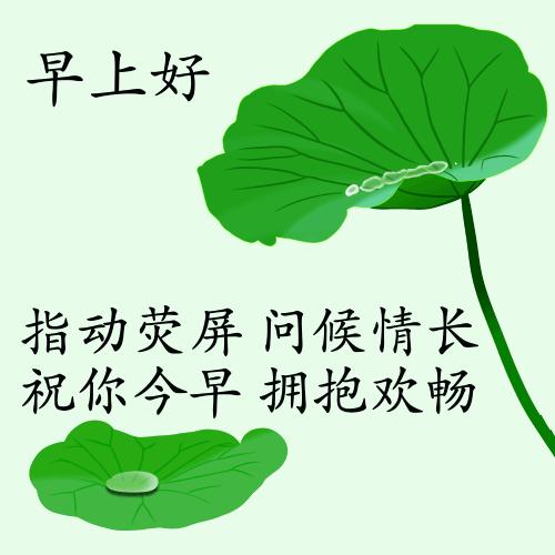 最新疫情動態(tài)下的自然探索之旅，追尋內(nèi)心的平和與寧靜