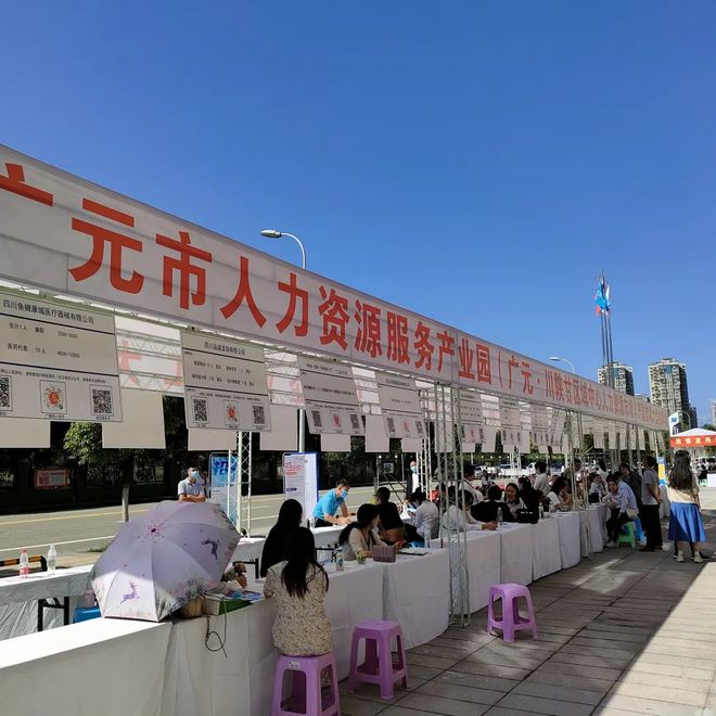 廣元最新招聘資訊詳解，觀點闡述與解析