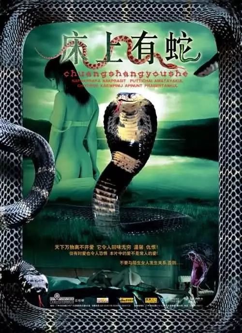 最新蛇片，蛻變的旅程，召喚自信與成就感的冒險之旅
