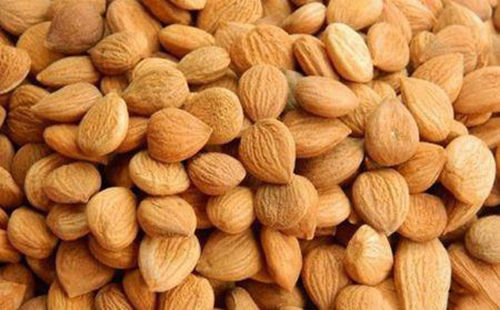 苦杏仁行情深度解析，背景、事件與地位探究