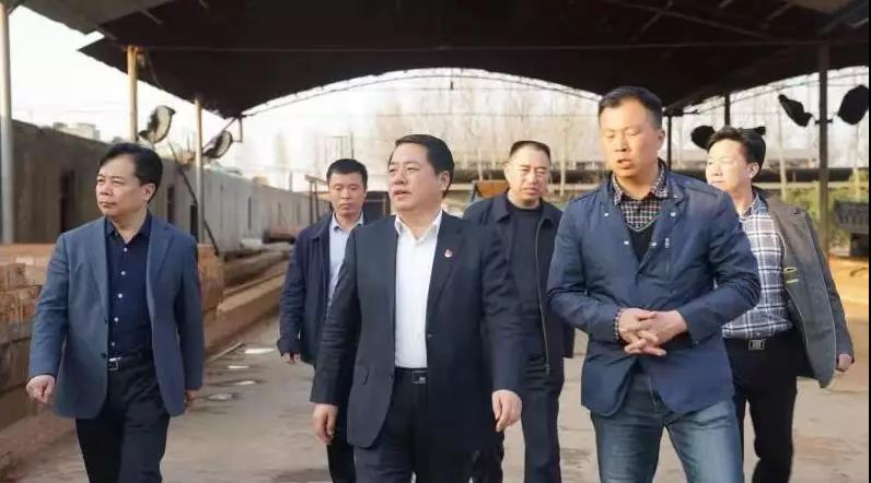 商丘王仲田最新動態(tài)，探索自然美景的旅行，尋求內(nèi)心平和之旅
