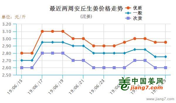 安丘大姜最新行情，機(jī)遇與自我超越的探尋之旅