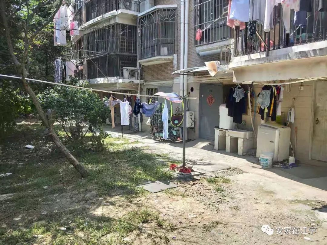 最新大雜亂時代，混沌與秩序的重建之路