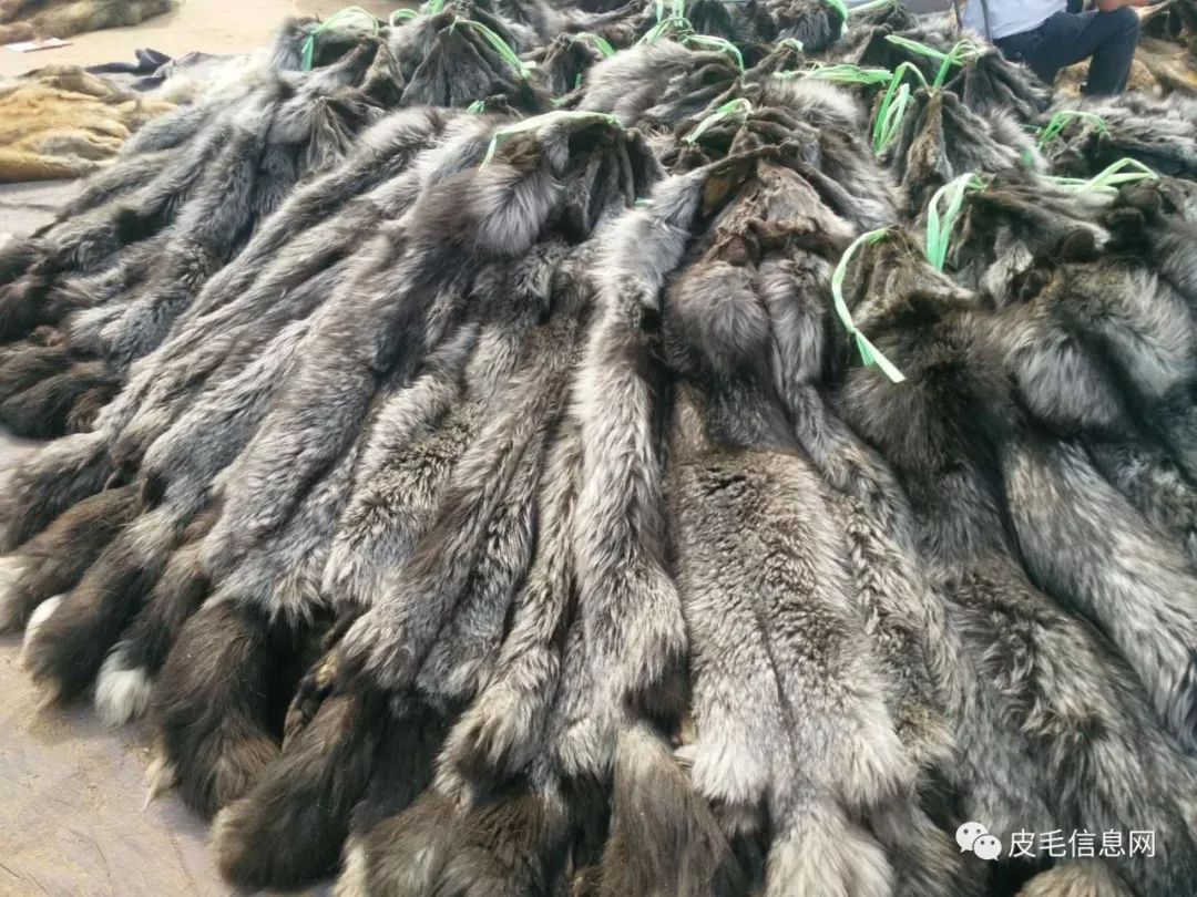 貉皮尚村最新價格，小巷中的時尚皮草寶藏探索