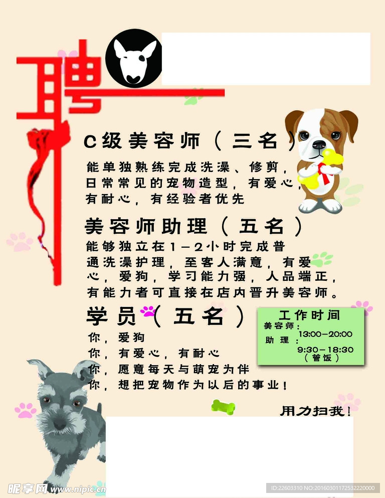 寵物店招聘最新動態(tài)，共探自然之美，尋求內(nèi)心寧靜