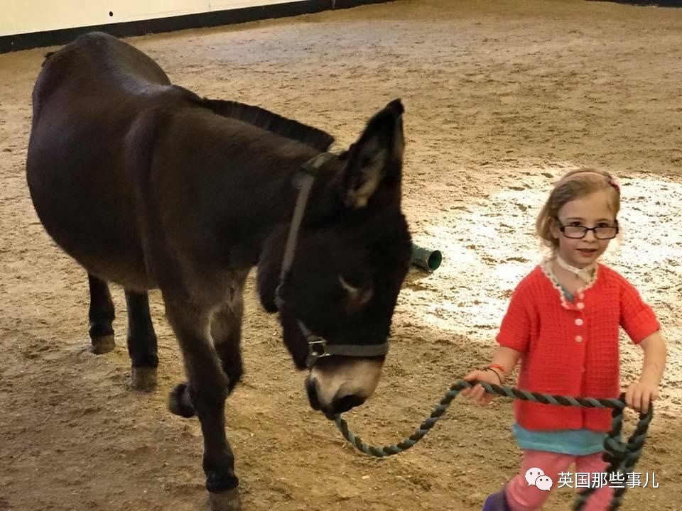 二驢子最新事件揭秘，事件全貌大揭秘！