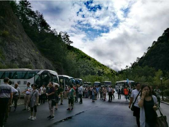 泰順高鐵最新動(dòng)態(tài)更新，最新消息一覽