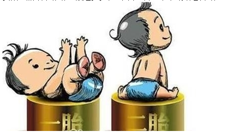 最新雙胞胎補(bǔ)助政策，攜手同行，助力孕育夢(mèng)想之路