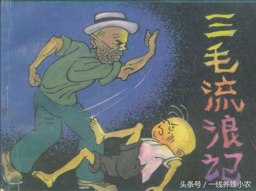 上海三毛最新動態(tài)，自然美景探索之旅啟幕