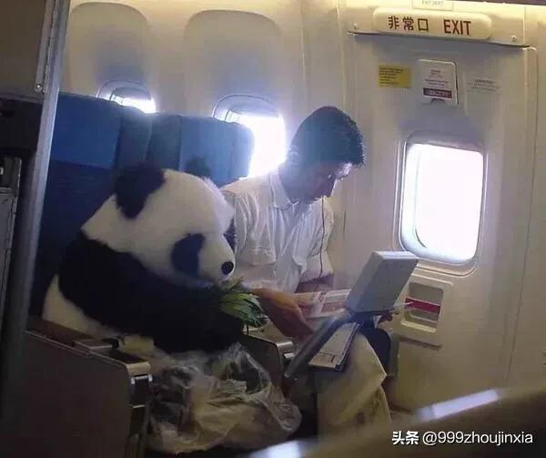 追逐變化之翼，學(xué)習(xí)鑄就自信與成就——虛幻最新探討