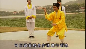 太極最新音樂(lè)，傳統(tǒng)與現(xiàn)代的完美融合藝術(shù)展現(xiàn)