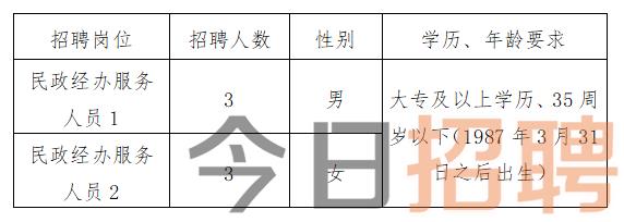 慶陽最新招聘揭秘，小巷中的特色小店，探索未知寶藏的職場之旅