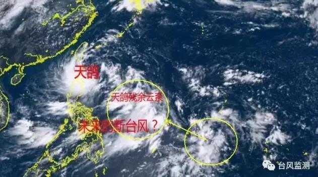 最新臺風天鴿動態(tài)更新，實時掌握臺風情況
